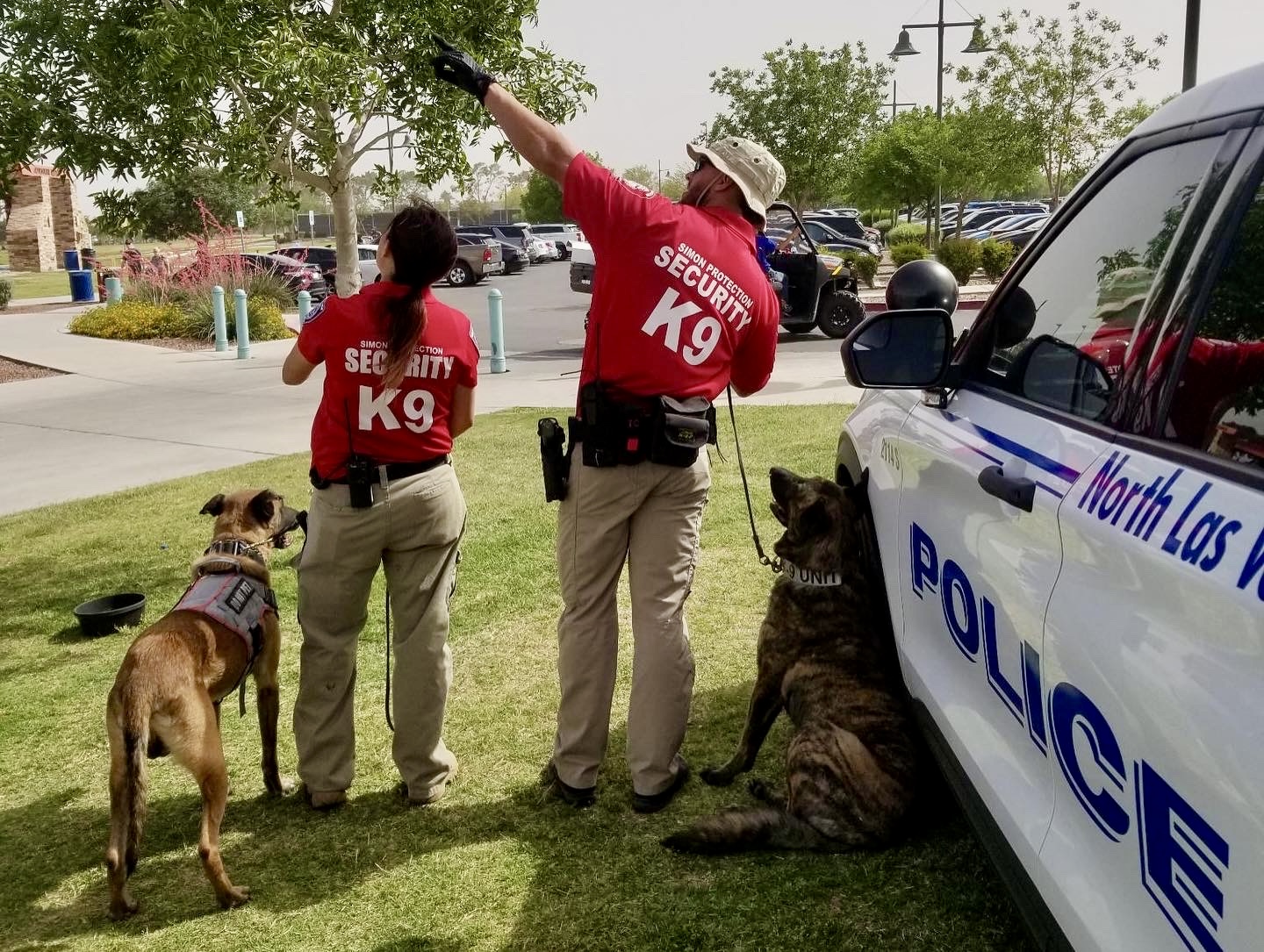 k9 service setting